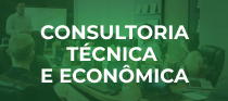 Consultoria Técnica e Econômica