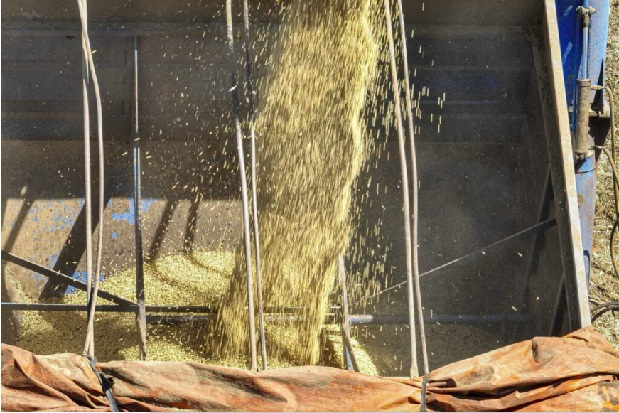 Paraná sugere ao governo federal que Plano Safra seja de R$ 670 bilhões