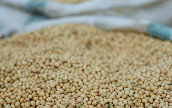 Custo logístico cai, mas ainda consome 15,5% do PIB 