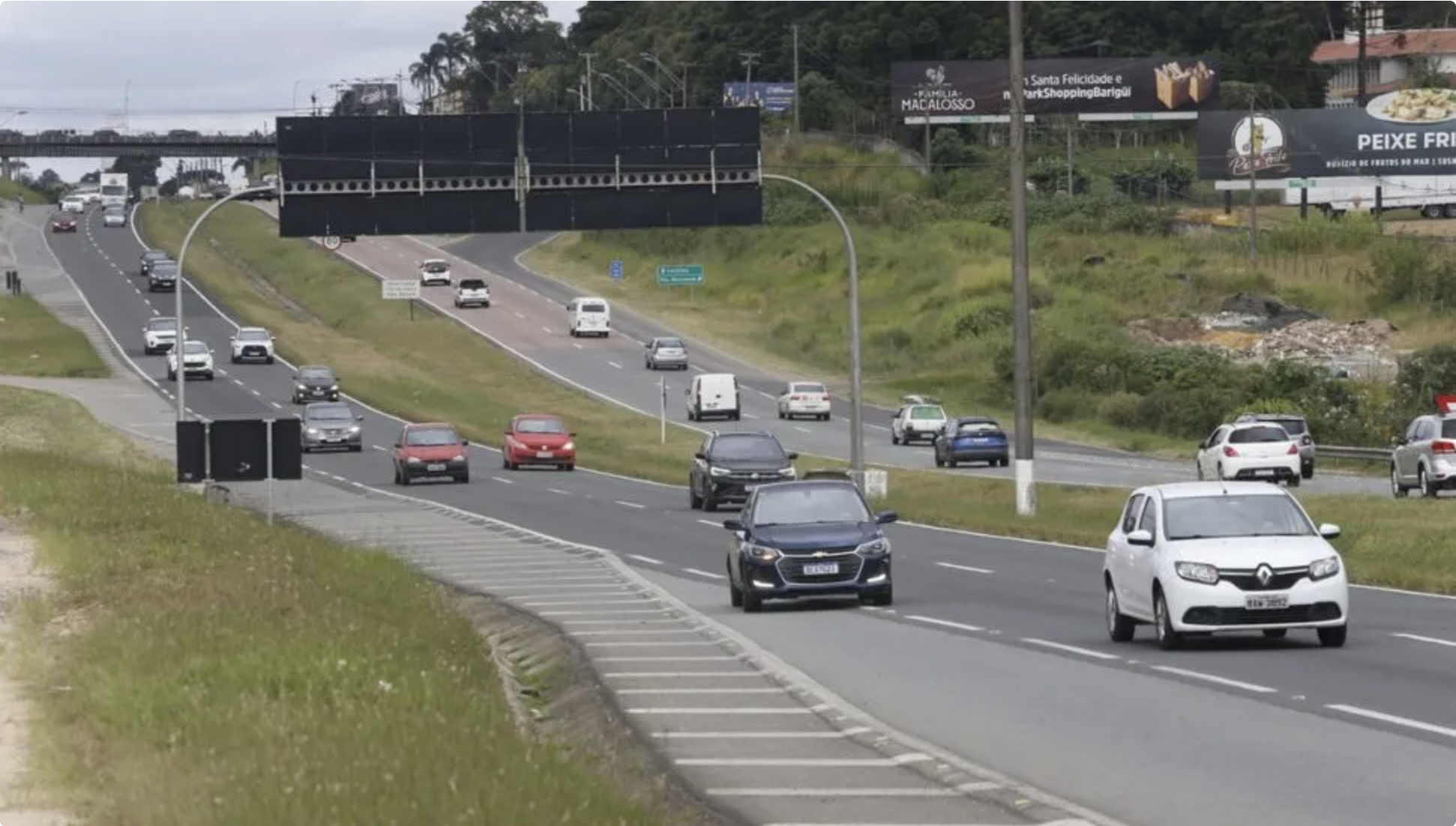 Projeto quer multa de até R$ 44 mil para reduzir acidentes com animais em rodovias do Paraná
