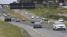 Projeto quer multa de até R$ 44 mil para reduzir acidentes com animais em rodovias do Paraná